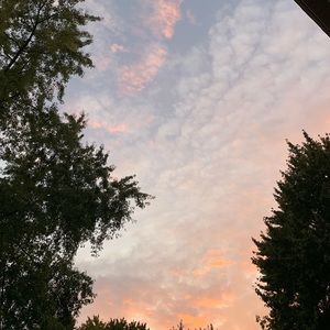 Meet your Posher, Lily